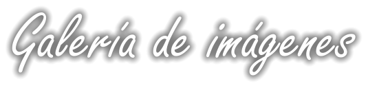 Galería de imágenes